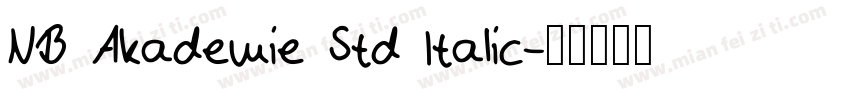 NB Akademie Std Italic字体转换